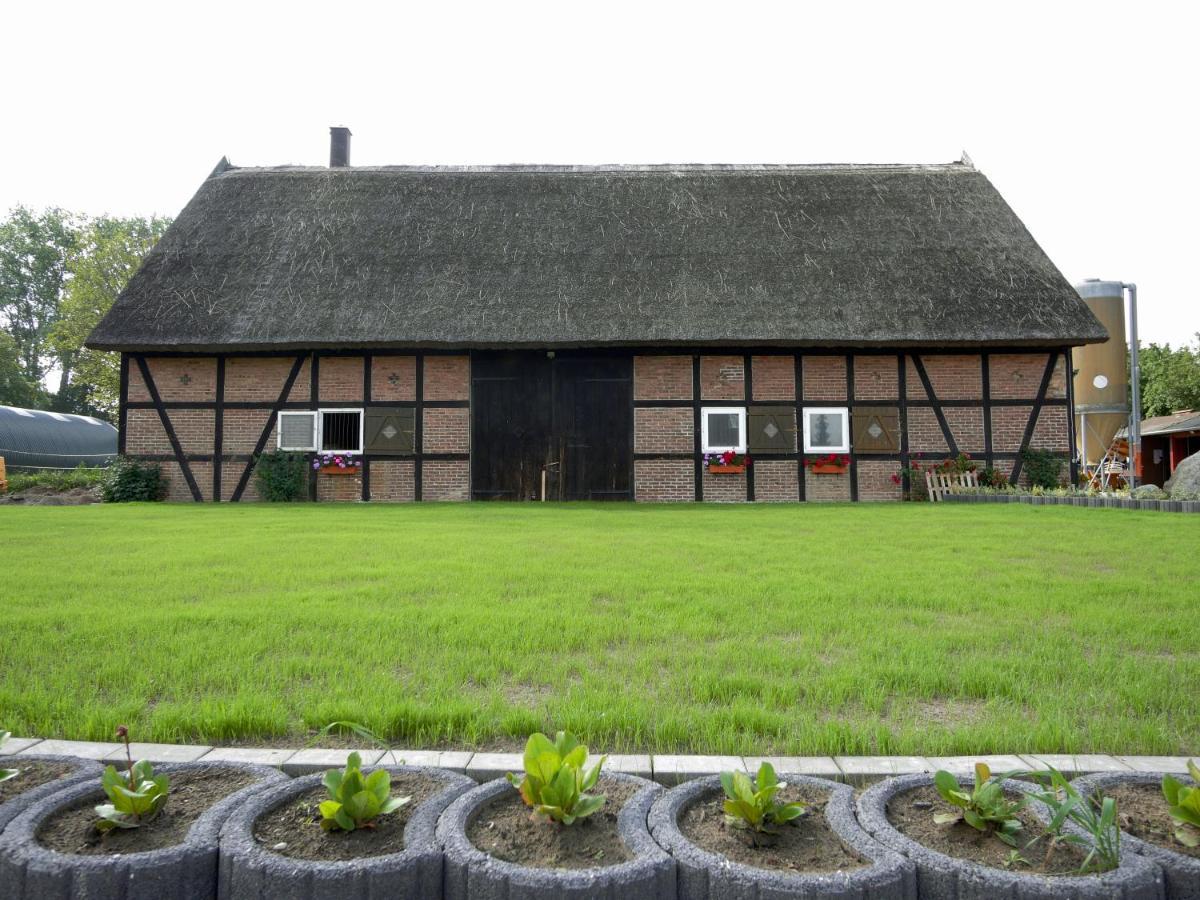 Ferienwohnungen Am Reiterhof Sallenthin Neu Sallenthin Dış mekan fotoğraf